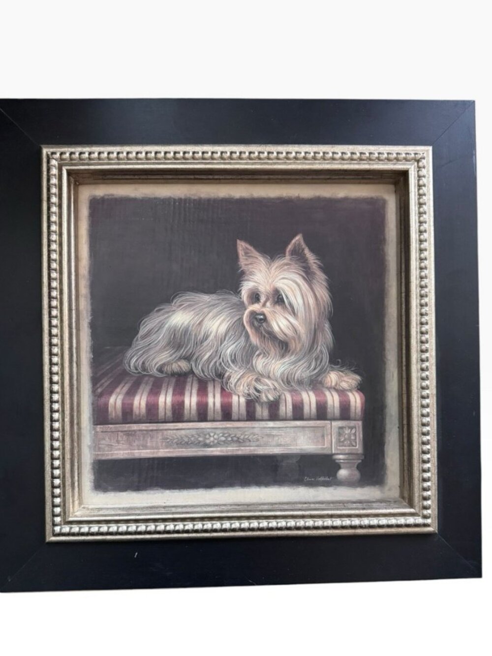 Elegant Yorkie Framed Art Print Elaine Vollherbst 18x18 Art in Motion Dog